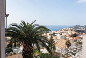 Vista dalla struttura