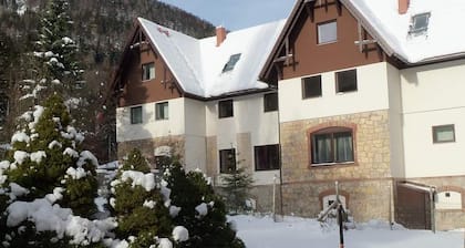 Double Bedroom & private bathroom in Villa Wellspacher