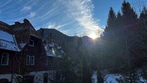 A traditional chalet with a sloped roof, surrounded by snow-covered trees and a mountain backdrop.