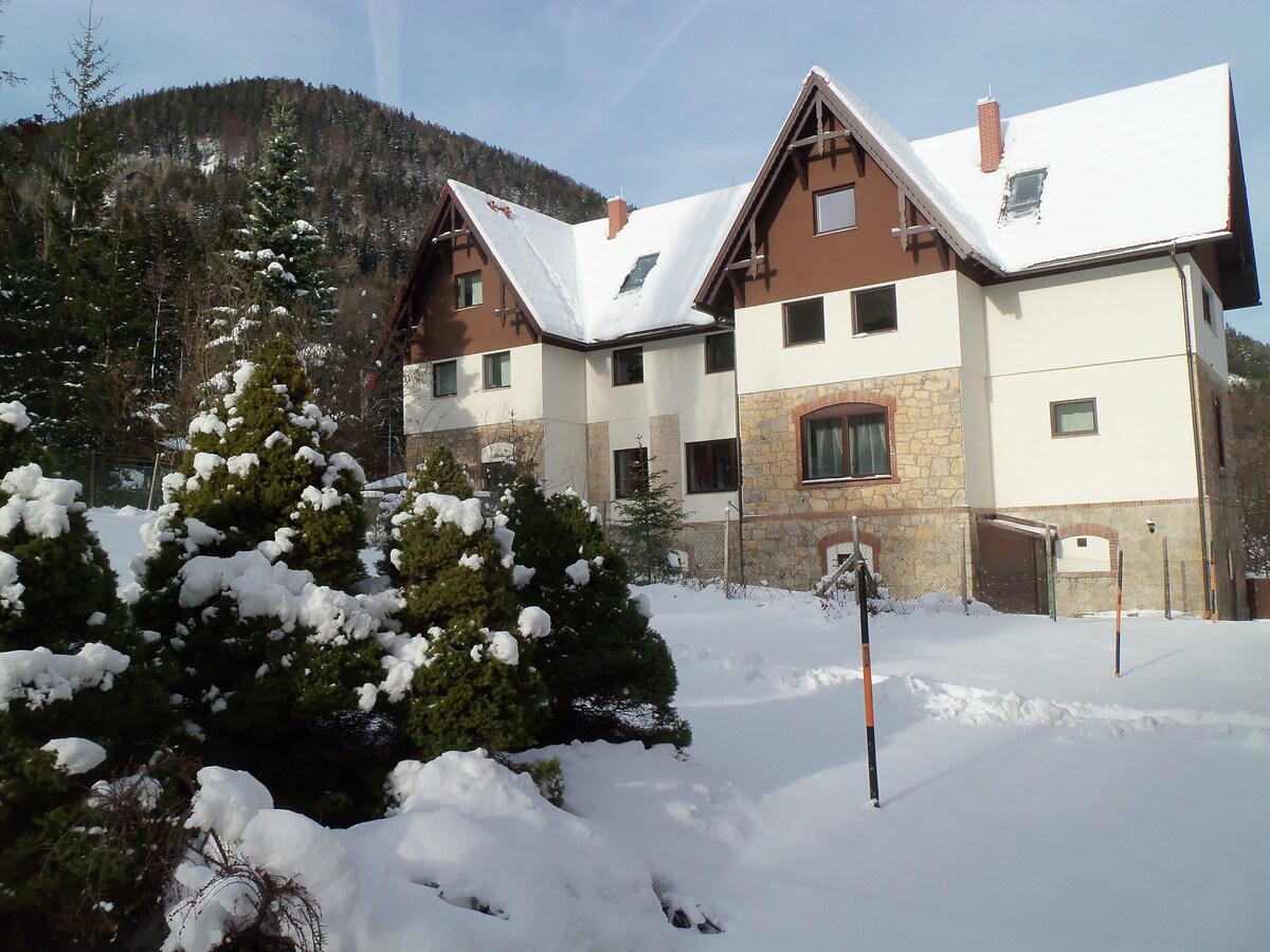 Image de profil de l’hôte
