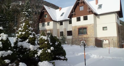 Private luxury apartments in Villa Wellspacher Semmering