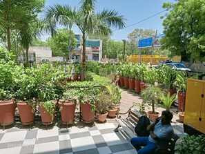 A courtyard with potted plants, a bench, and a yellow utility box. - Hotel Ville Parle (Luni)