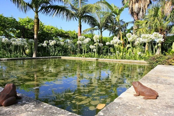 المنطقة المحيطة بالمنشأة