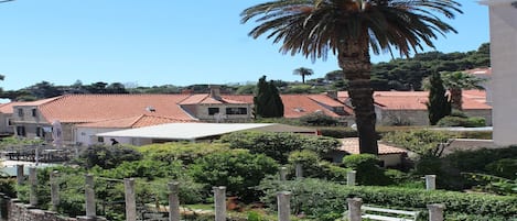 A residential area with terracotta-roofed houses, a palm tree, and a stone wall with bollards.