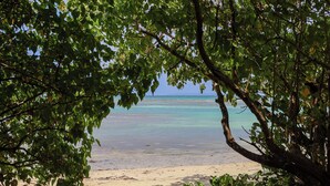 Una playa con aguas turquesas cristalinas, rodeada de exuberante vegetación.