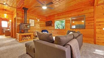 TV, fireplace, books, offices