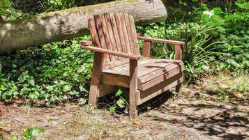 Un banc en bois, situé dans une zone boisée à la végétation dense, avec un grand tronc d’arbre à proximité.