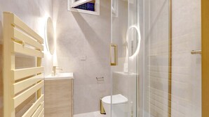 A modern bathroom with a glass shower enclosure, a toilet, and a vanity with a mirror.
