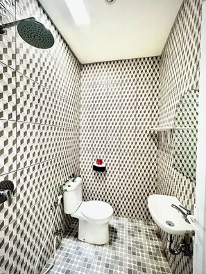 Hair dryer, bidet, towels, soap