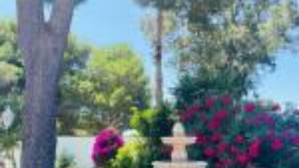 Un jardin agrémenté d’une fontaine centrale, entouré d’une végétation luxuriante et de plantes en fleurs.