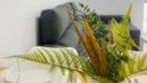Un salon moderne avec un coin repas. On y trouve un canapé, une table basse avec une plante, ainsi qu’une table à manger dressée avec des assiettes et des couverts.
