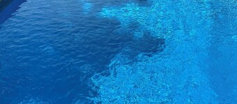 Kapitan’s cottage : Rustic, Private & steeped in Nature. Salt Pool Open Pets OK