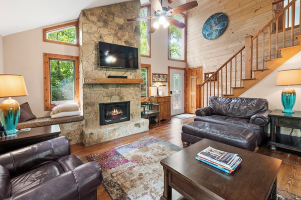 Smart TV, fireplace, DVD player, books