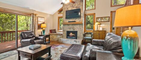 Smart TV, chimenea, reproductor de DVD, libros