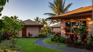 Zona residencial con dos casas, un camino de entrada curvo y exuberante jardinería que incluye palmeras y diversas plantas.