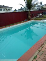 A swimming pool with a red wall and a palm tree.