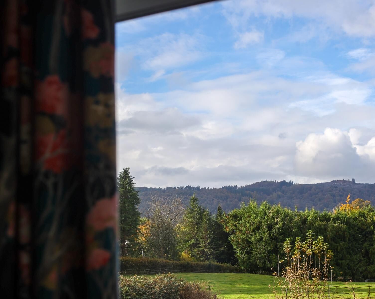 A view of a green landscape with trees and a hill in the distance.