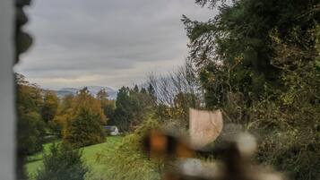 A view through a window with a blurred foreground object, a rural landscape with trees and a house in the distance, and a cloudy sky.