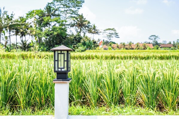 Διαμέρισμα, 1 Queen Κρεβάτι, Κουζίνα | Θέα από το δωμάτιο
