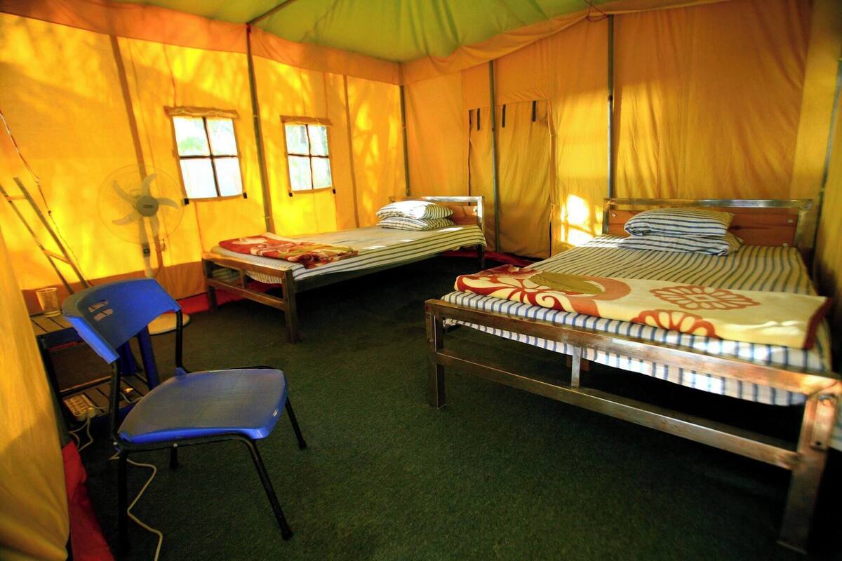 A tented accommodation with two single beds, a blue chair, and a fan.