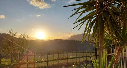 Relaxation villa surrounded by greenery with outdoor pool, sauna and whirlpool.