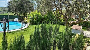 A pool surrounded by greenery, a lamp post, and a small building.