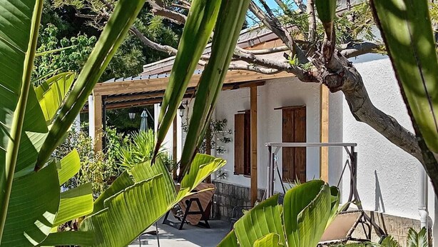 A white building with a wooden door and windows, surrounded by lush greenery.