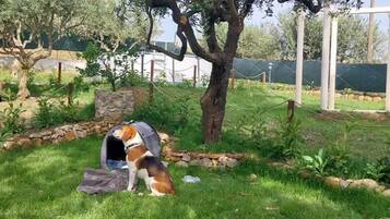 Parco della struttura