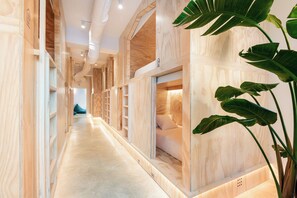 Comfort Shared Dormitory