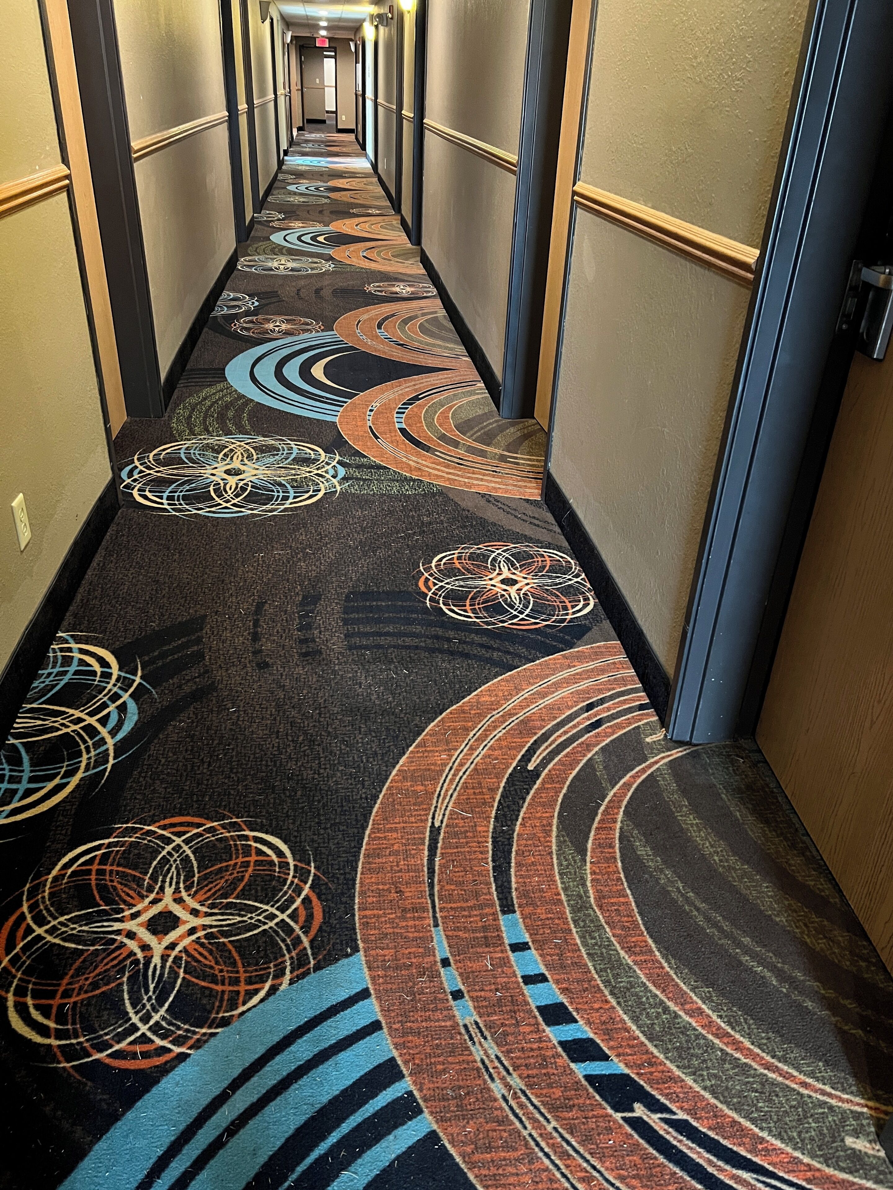 A hotel hallway with patterned carpet and doors on both sides.