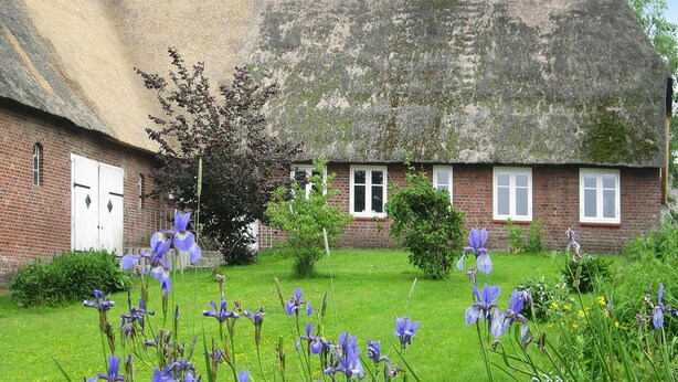Une maison traditionnelle à toit de chaume, avec une façade en briques, entourée d’un jardin bien entretenu où poussent des fleurs violettes.