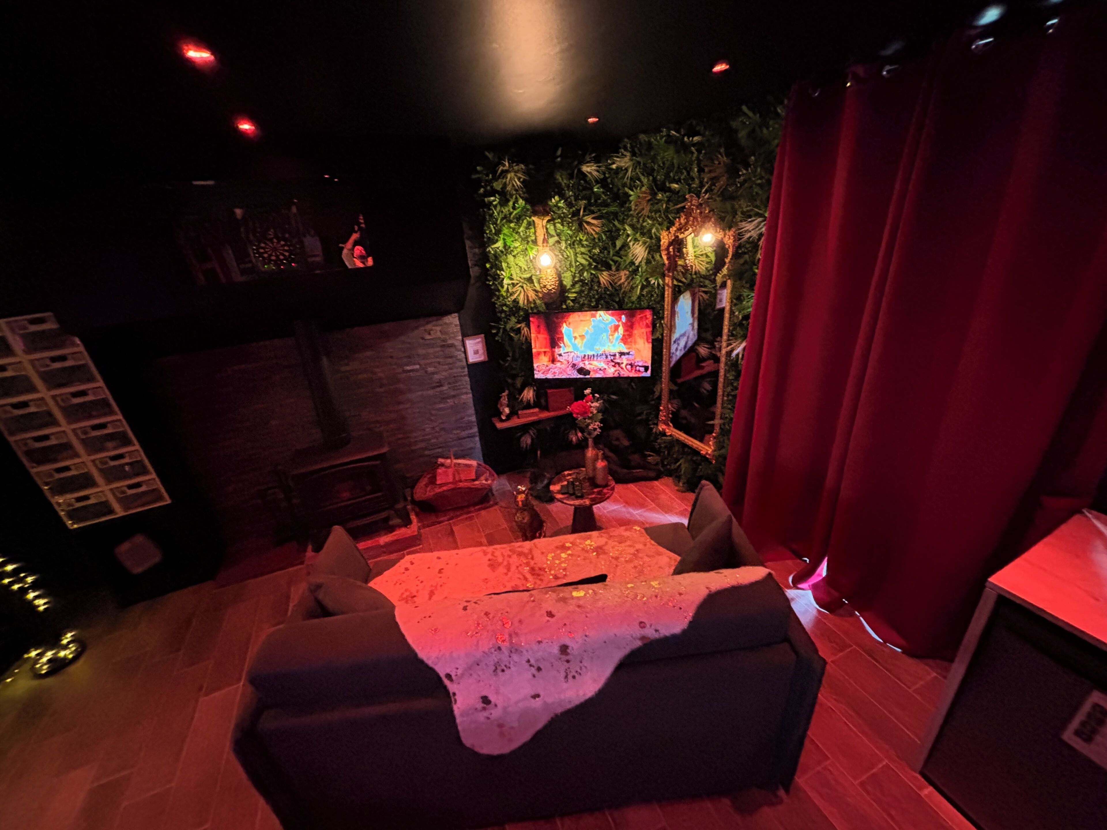 Un espace salon confortable avec un canapé, un téléviseur à écran plat et un mur décoratif agrémenté de plantes.