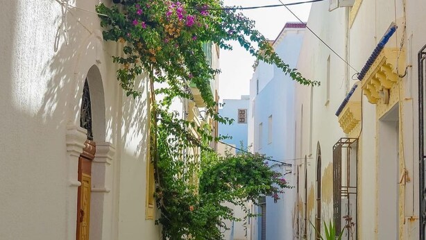 A narrow, cobblestone alley flanked by white buildings with arched doorways and windows. - Dar khouaja

 (Mahdia)