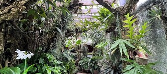 Charming 2-bedroom home filled with lovely natural light on a quiet street