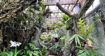 Charming 2-bedroom home filled with lovely natural light on a quiet street