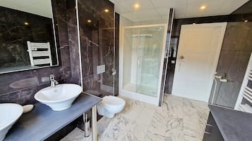 Shower, hair dryer, towels