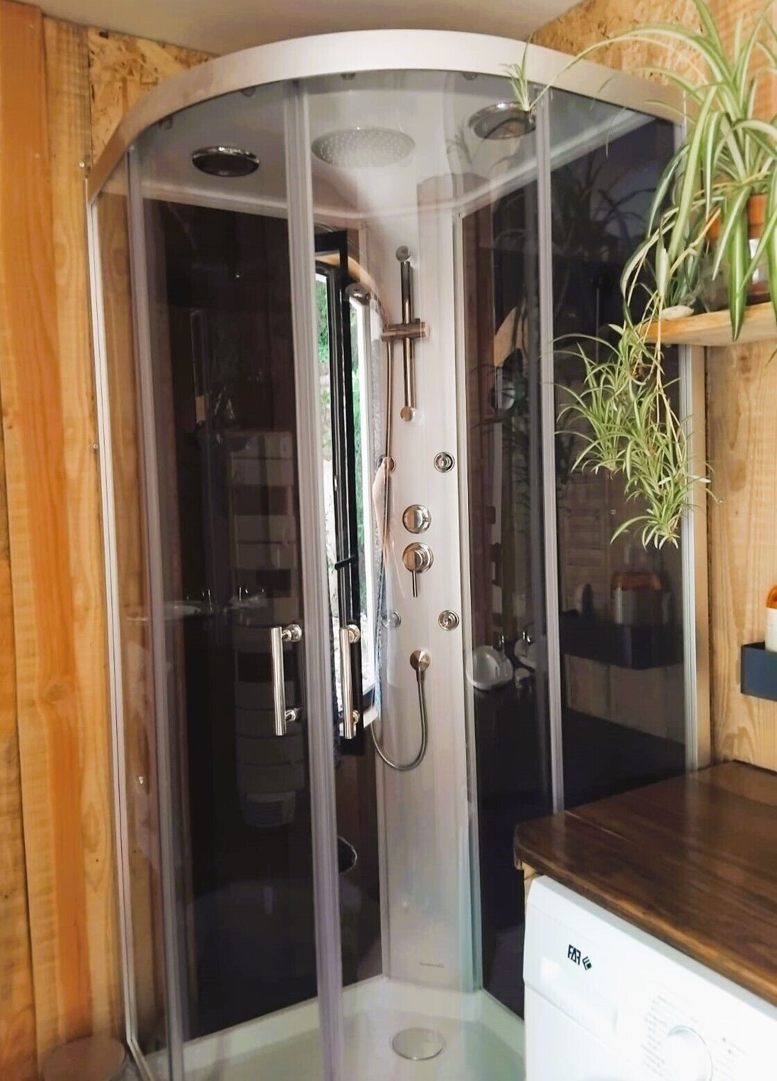 A corner shower with a glass enclosure, a wooden countertop, and a potted plant.