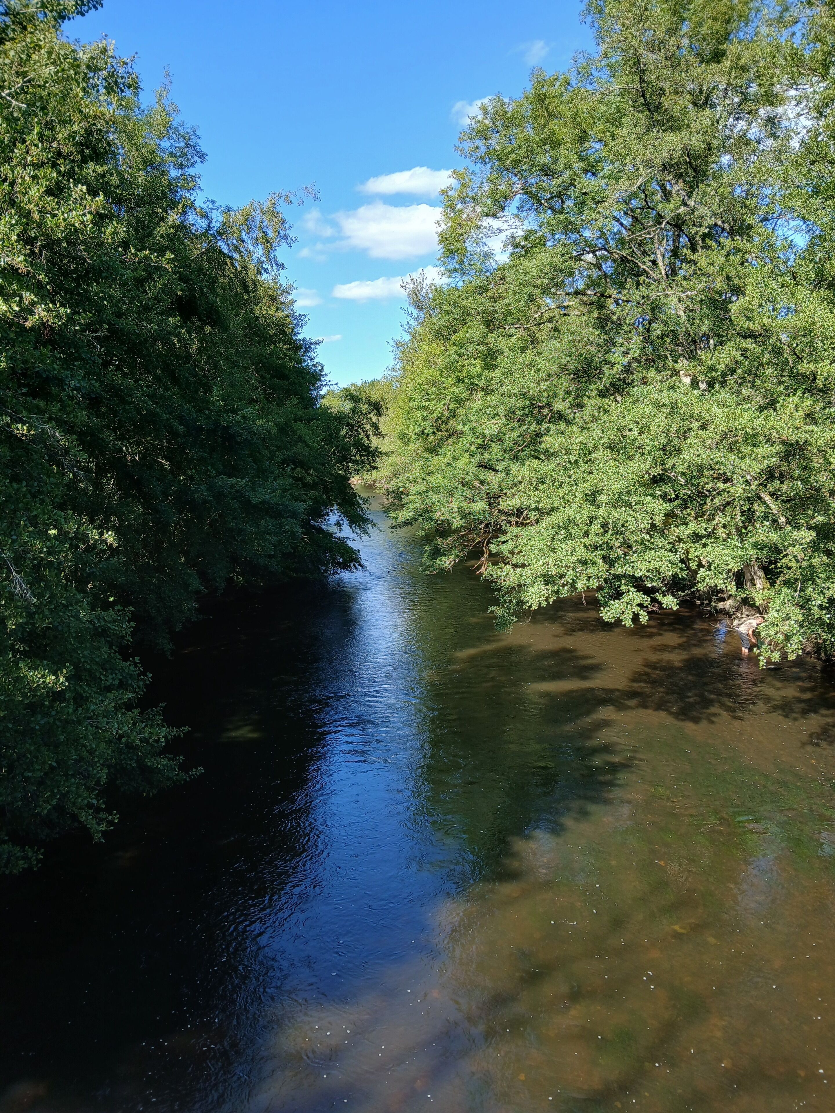 Een rivier omringd door weelderige groene begroeiing.