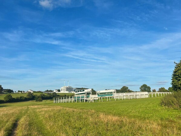 A large cruise ship docked at a port with a grassy field in the foreground. - Modern Serenity in Langley Vale (Epsom)