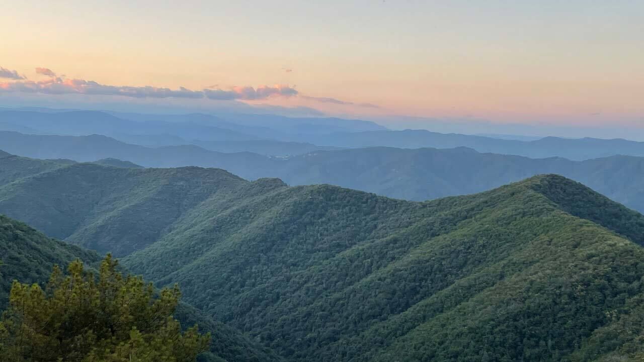 A mountainous landscape with rolling hills and dense forest.
