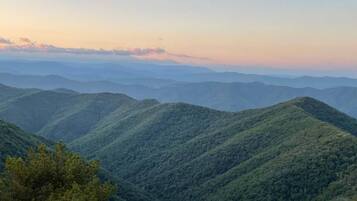 A mountainous landscape with rolling hills and dense forest.
