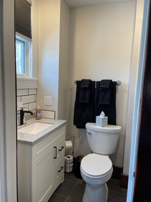 Shower, eco-friendly toiletries, hair dryer, towels