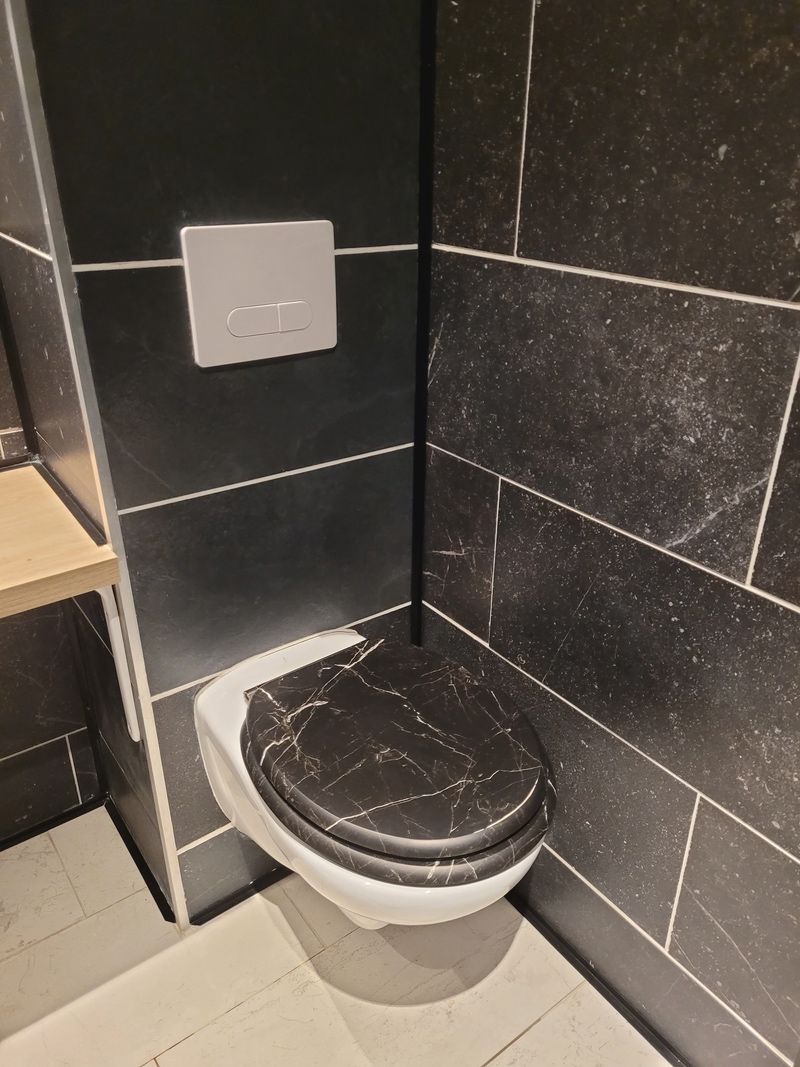 A bathroom with a toilet, dark tiled walls, and a light switch.