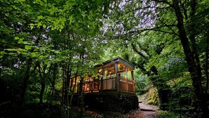 A wooden cabin with a covered deck, surrounded by dense forest. - L'Ange De Fer (immersion totale en pleine forêt) (Illoud)