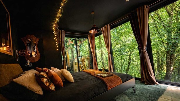 A bedroom with a large bed, a guitar, and a view of a forest through large windows. - L'Ange De Fer (immersion totale en pleine forêt) (Illoud)