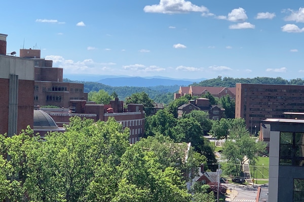 View from window in unit