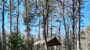 A rustic cabin in a forest. - Cozy 6-person house in the middle of the forest, enjoy the space and 
the peace
 (Klässbol)