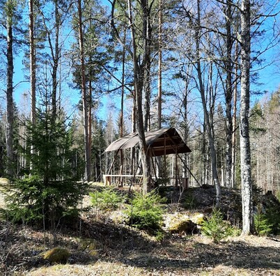Cozy 6-person house in the middle of the forest, enjoy the space and 
the peace
