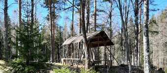 Cozy 6-person house in the middle of the forest, enjoy the space and
the peace