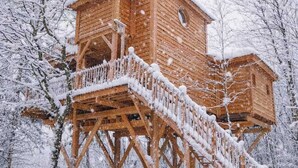 Une cabane en bois avec un escalier menant à une plateforme, entourée d’arbres couverts de neige.